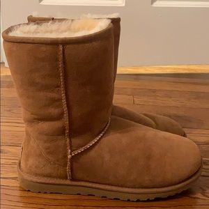 Short Chestnut Uggs NEVER WORN!